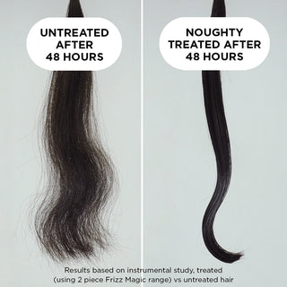 Frizz Magic Conditioner - 250ml